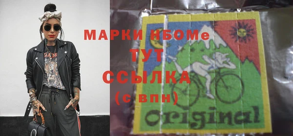 индика Протвино