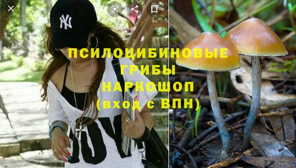 молекула духа Балабаново