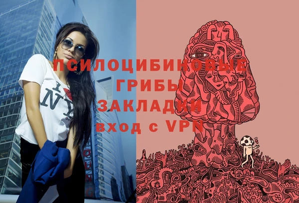 МДПВ Балахна